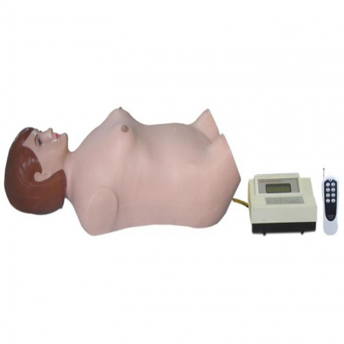 數字遙控式腹部觸診模擬人（單機版）